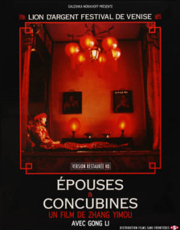 Épouses et Concubines streaming
