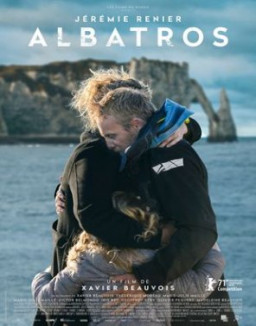 Albatros streaming
