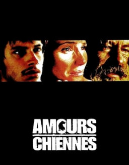 Amours chiennes streaming