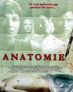 Anatomie streaming