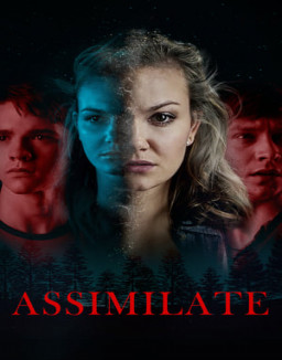 Assimilate streaming