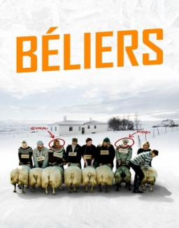 Béliers streaming