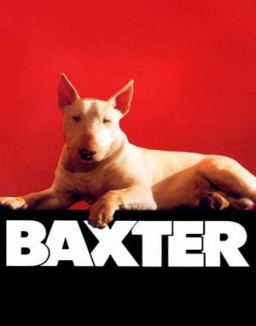 Baxter streaming