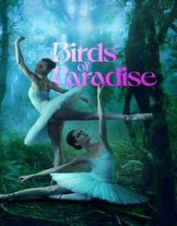 Birds of Paradise streaming