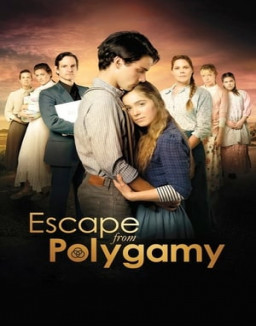 Dans l'enfer de la polygamie streaming
