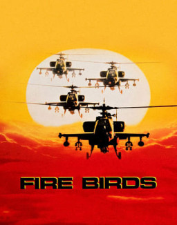 Fire Birds streaming