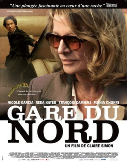 Gare du Nord streaming