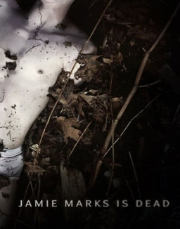 Jamie Marks Is Dead streaming