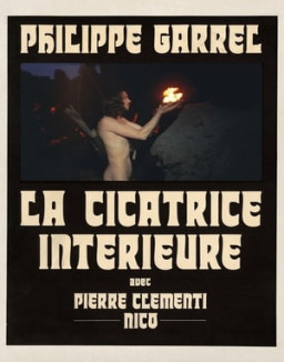 La Cicatrice intérieure streaming