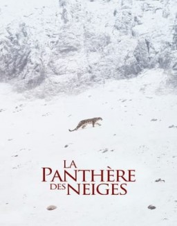 La Panthère des neiges streaming