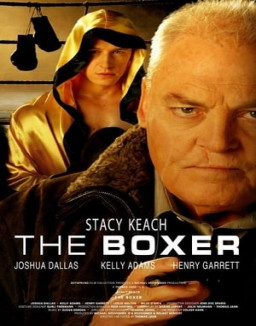 Le Boxeur streaming