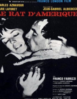 Le rat d'Amérique streaming