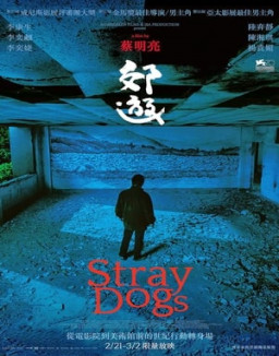 Les chiens errants streaming
