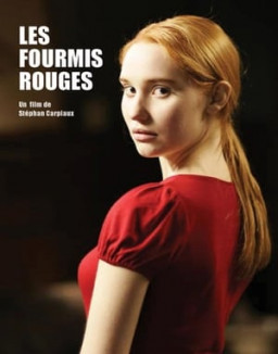 Les fourmis rouges streaming