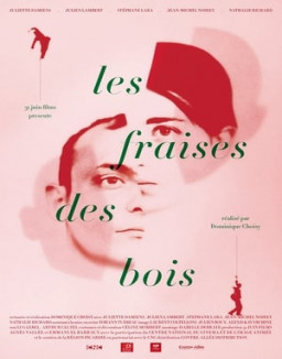 Les fraises des bois streaming