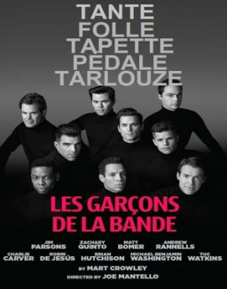 Les garçons de la bande streaming