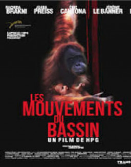 Les Mouvements du bassin streaming