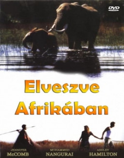 L'Ami Africain streaming