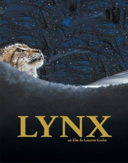 Lynx streaming