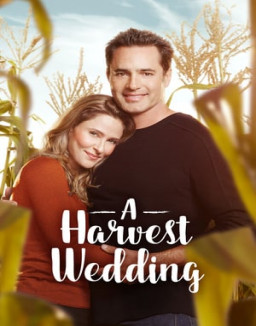 Mariage chez mon ex streaming