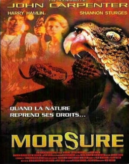Morsure streaming