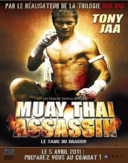 Muay Thai Assassin streaming