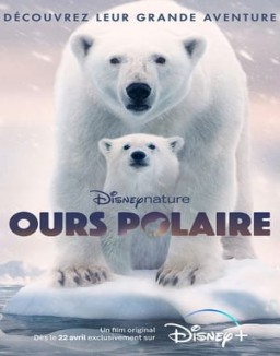 Ours polaire streaming