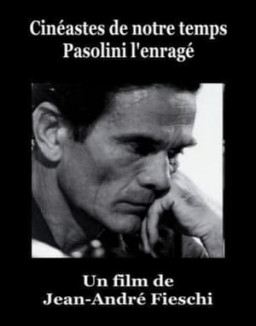 Pasolini l'enrage streaming