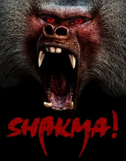 Shakma streaming