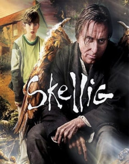 Skellig streaming