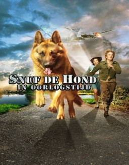 Tom le héros streaming