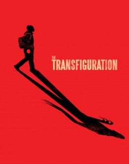 Transfiguration streaming