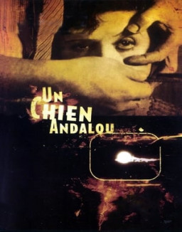 Un chien andalou streaming
