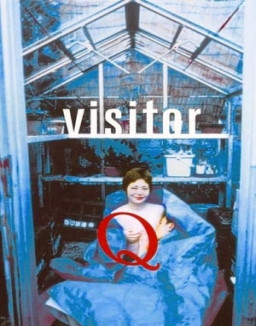 Visitor Q streaming