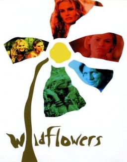 Wildflowers streaming