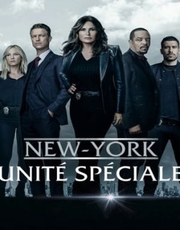 New York Unité Spéciale Saison 1